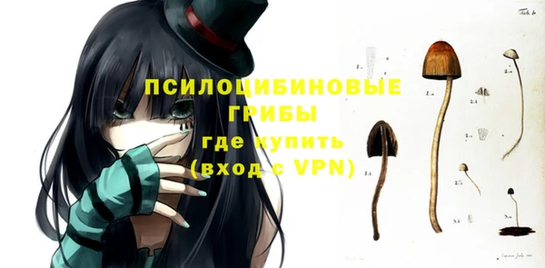 ECSTASY Алексин