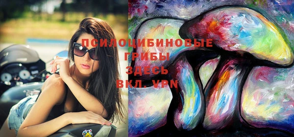 МДПВ Алзамай
