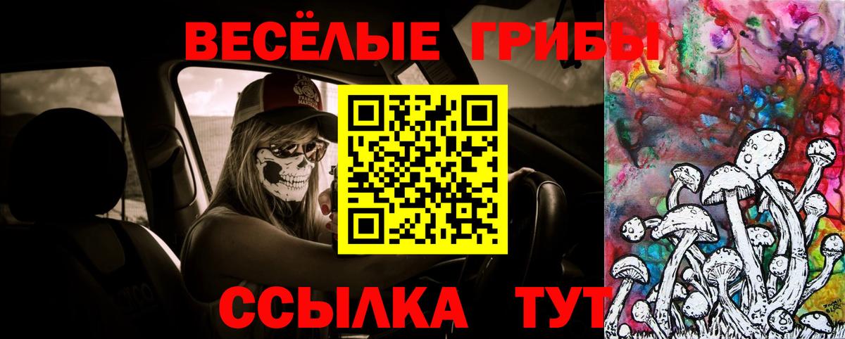 наркотики  Галлюциногенные грибы Psilocybine cubensis  Галлюциногенные грибы Psilocybe  Вход с VPN  Дзержинский 
